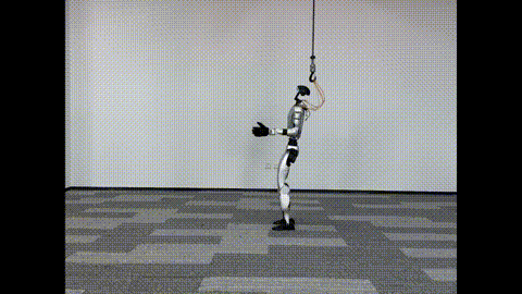 Kungfu
